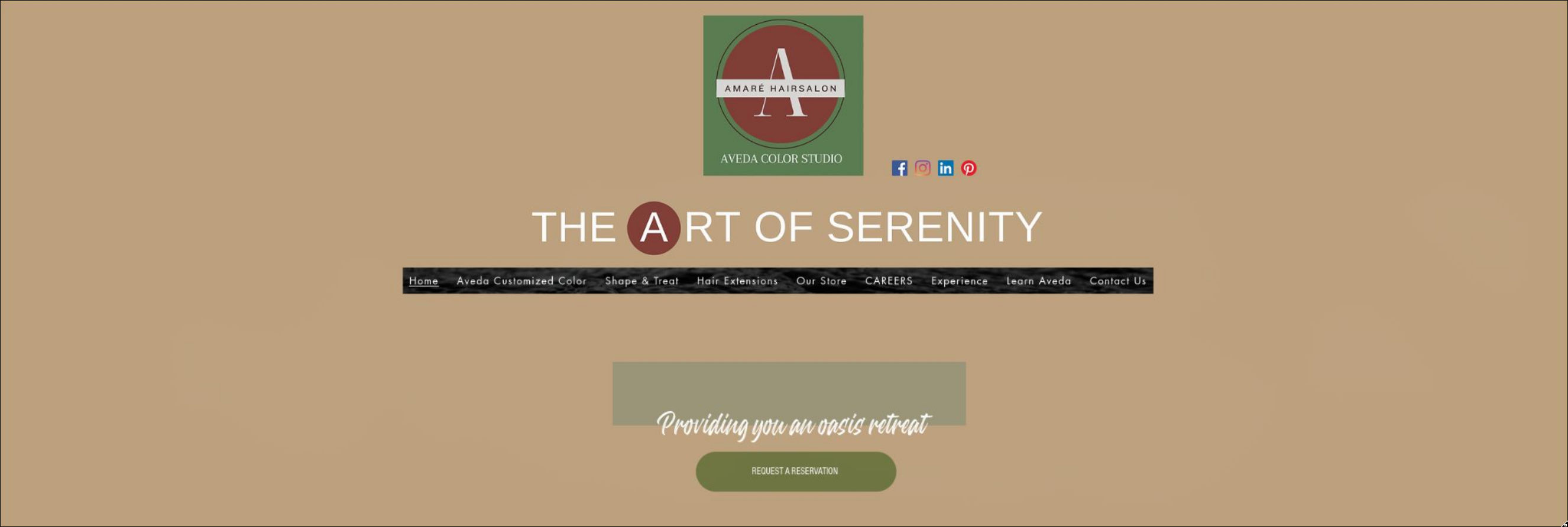 Hair Salon Website before